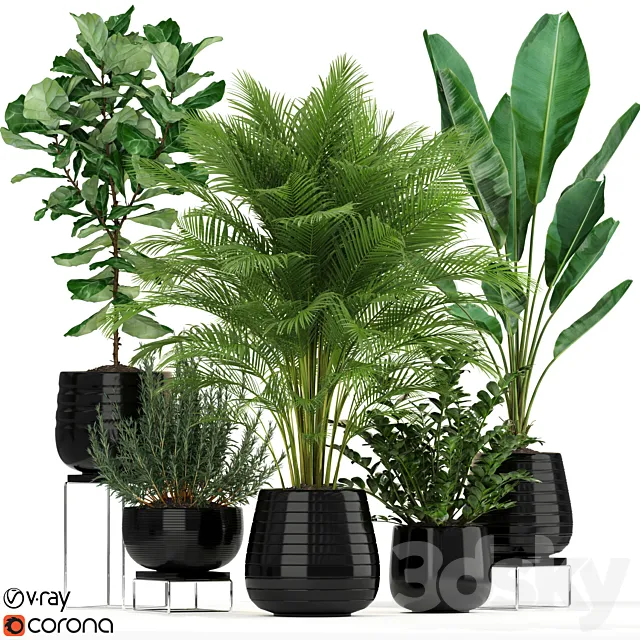 Plants collection 180 3DModel Plants collection 180 3DModel