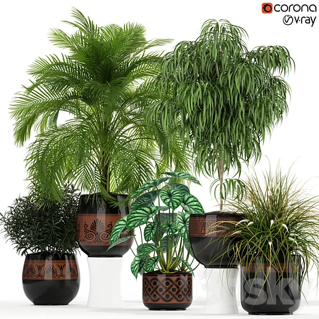Plants collection 182 3DModel