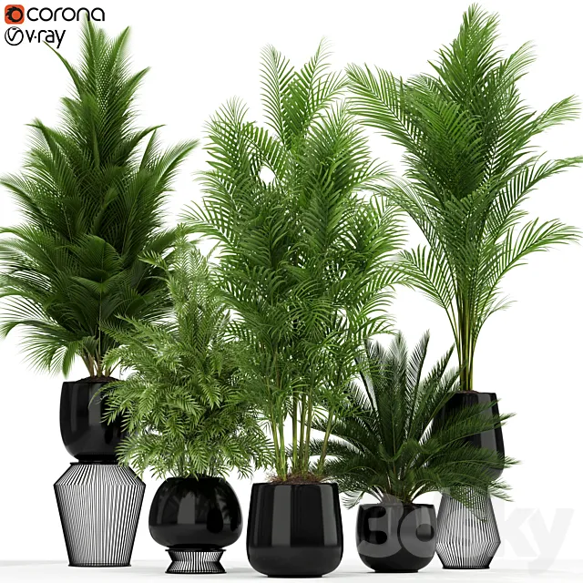 Plants collection 184 3D Model Plants collection 184 3D Model