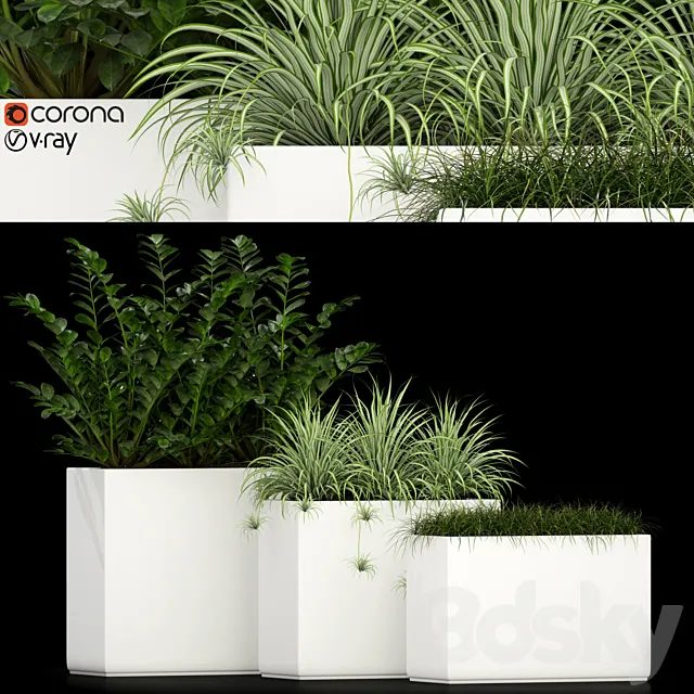 Plants collection 186 3D Model Plants collection 186 3D Model