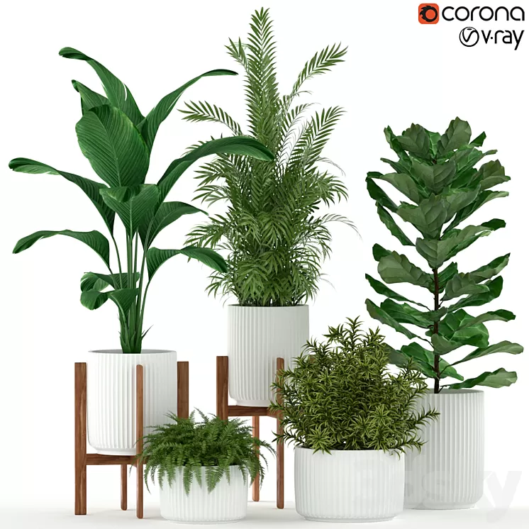 Plants collection 194 3D Model