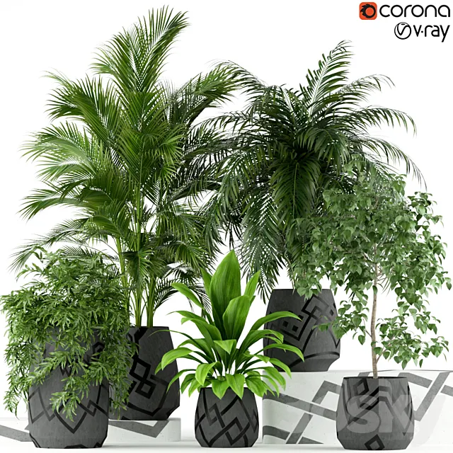 Plants collection 195 3DModel