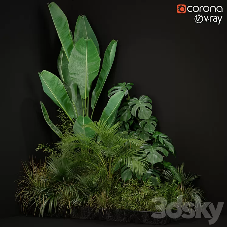 Plants collection 196 3D Model
