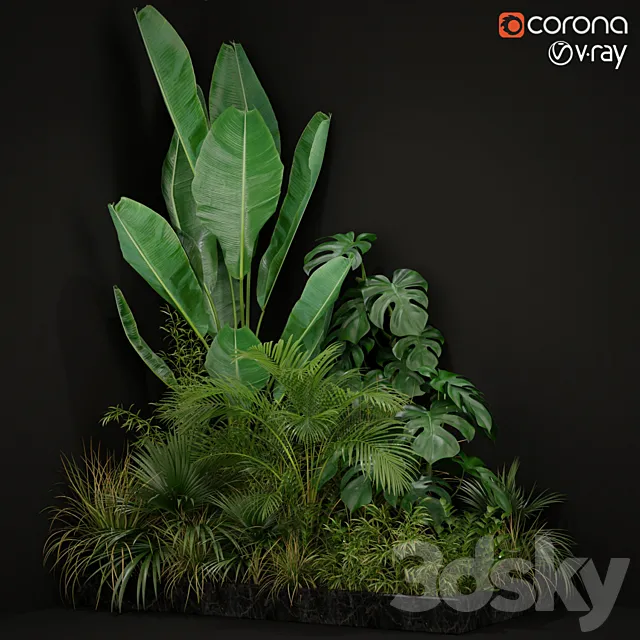 Plants collection 196 3DModel