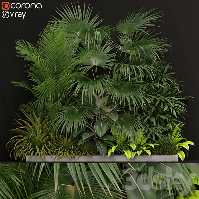 Plants collection 197 3D Model