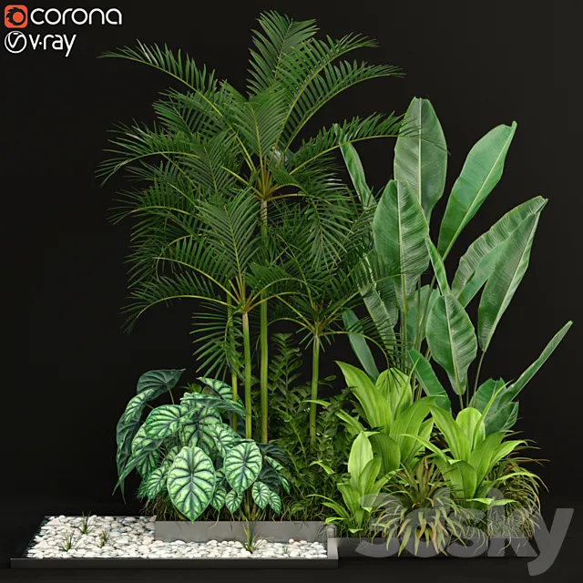 Plants collection 198 3D Model