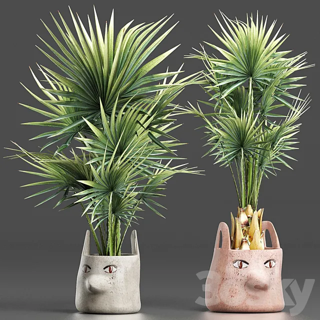 Plants Collection 198 Sabal Minor 3DModel