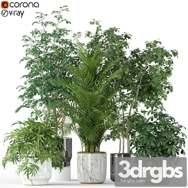 Plants collection 204 Plants collection 204