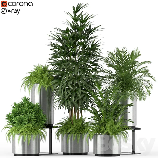 Plants collection 206 3D Model