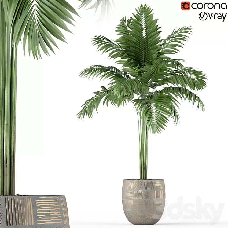 Plants collection 220 3D Model