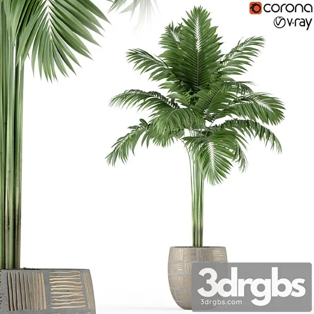 Plants collection 220 Plants collection 220