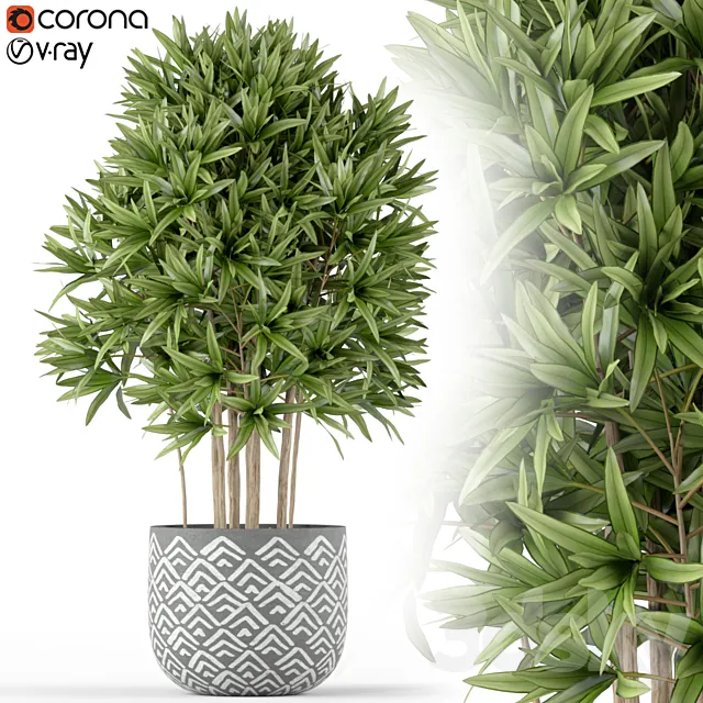 Plants collection 224 3DModel