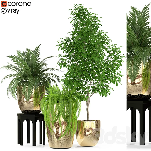 Plants collection 235 3D Model