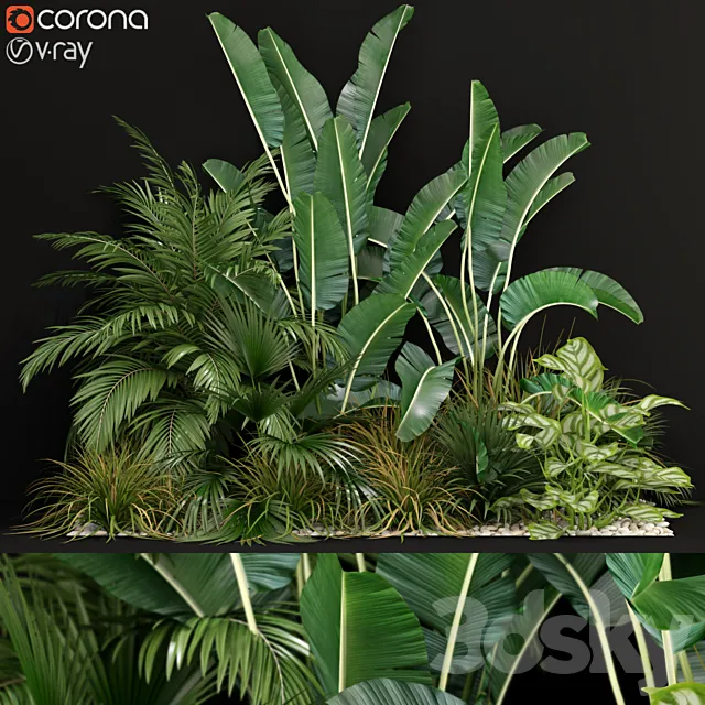 Plants collection 237 3DModel