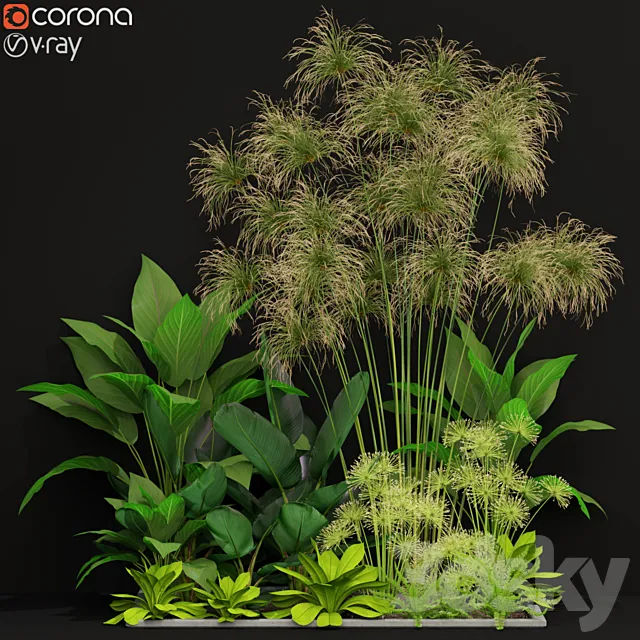 Plants collection 241 3D Model