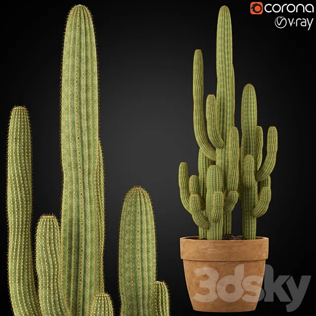 Plants collection 254 3DModel