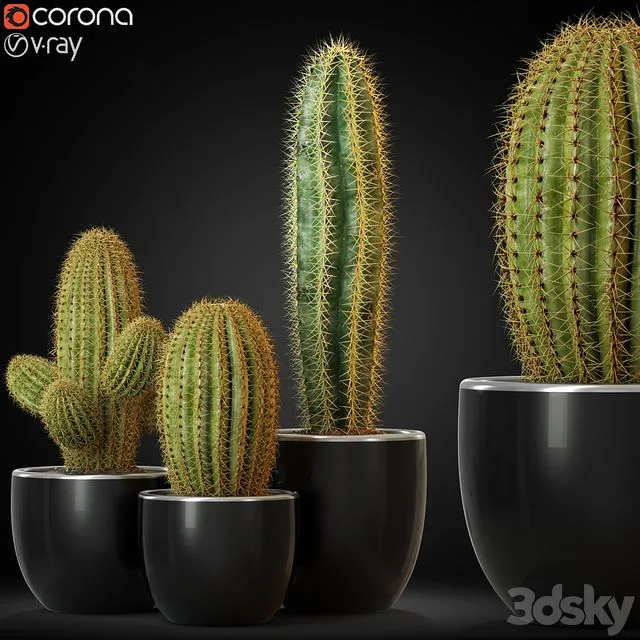 Plants collection 258 3D Model