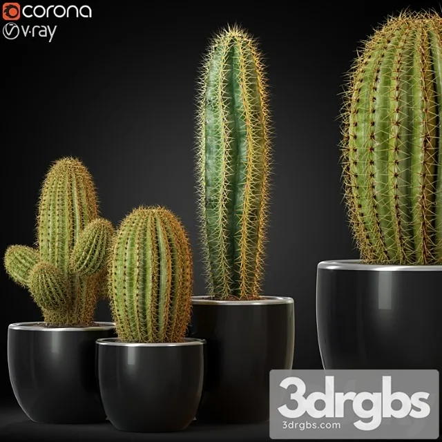 Plants collection 258 Plants collection 258