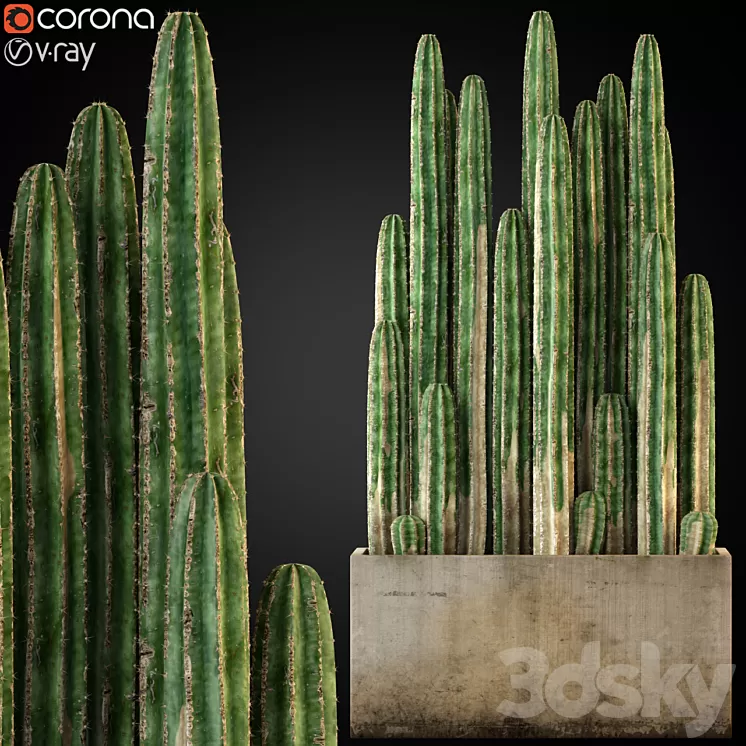 Plants collection 260 3D Model