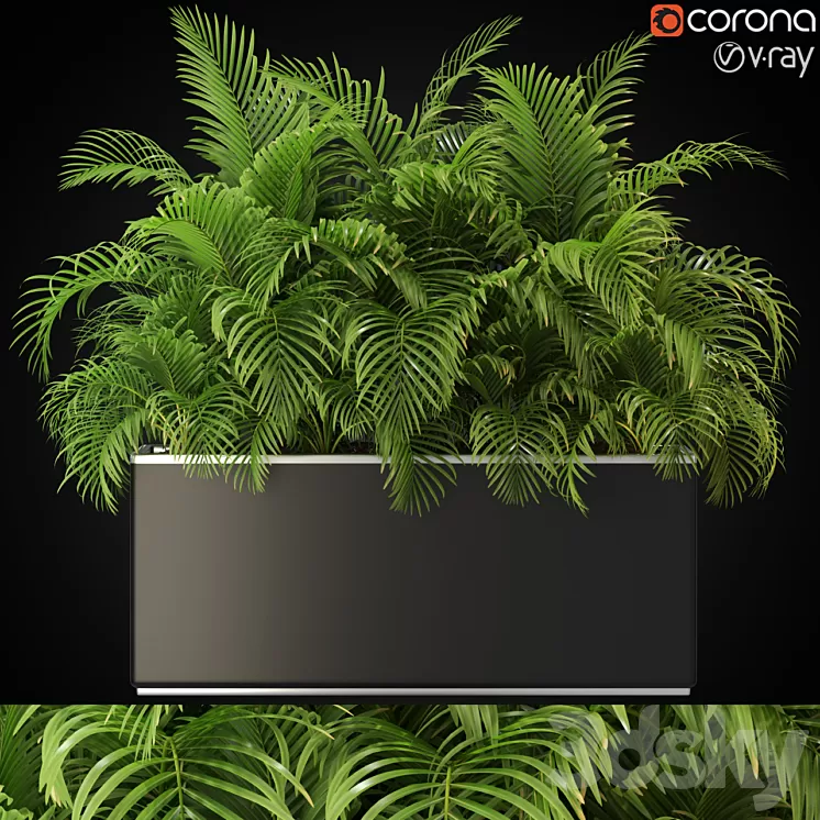 Plants collection 267 3D Model