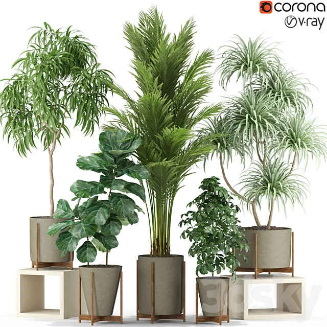 Plants collection 343 3D Model