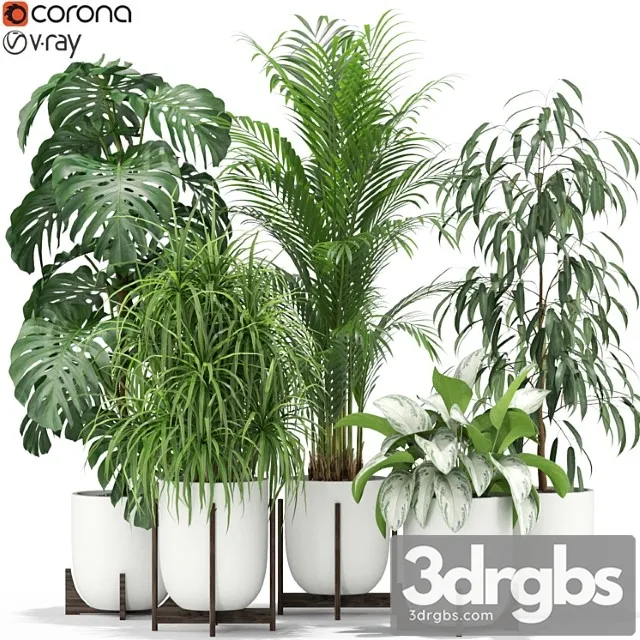 Plants collection 354 Plants collection 354