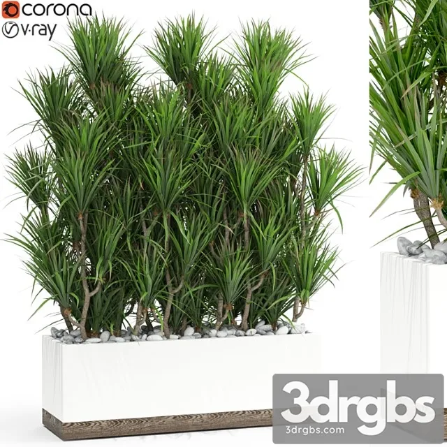 Plants collection 428 Plants collection 428