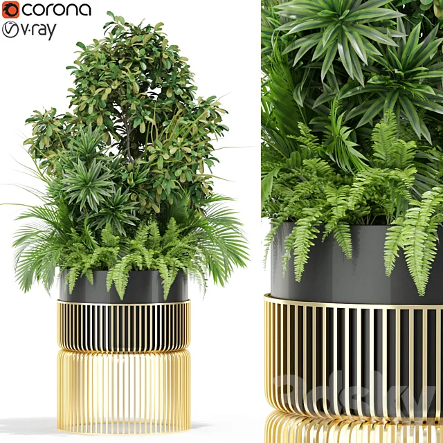 Plants collection 432 3D Model