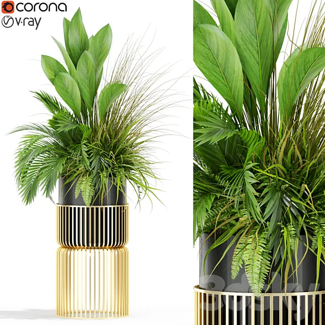 Plants collection 433 3D Model