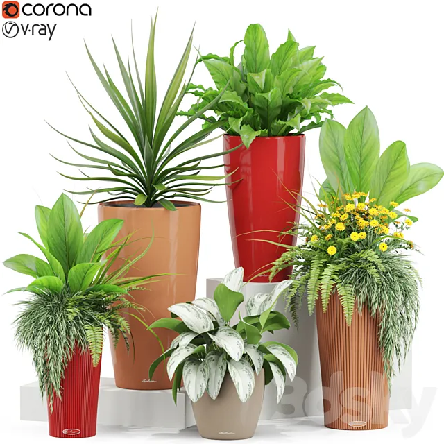 Plants collection 436 3D Model