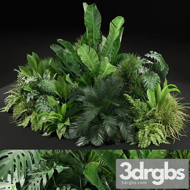 Plants collection 445 Plants collection 445