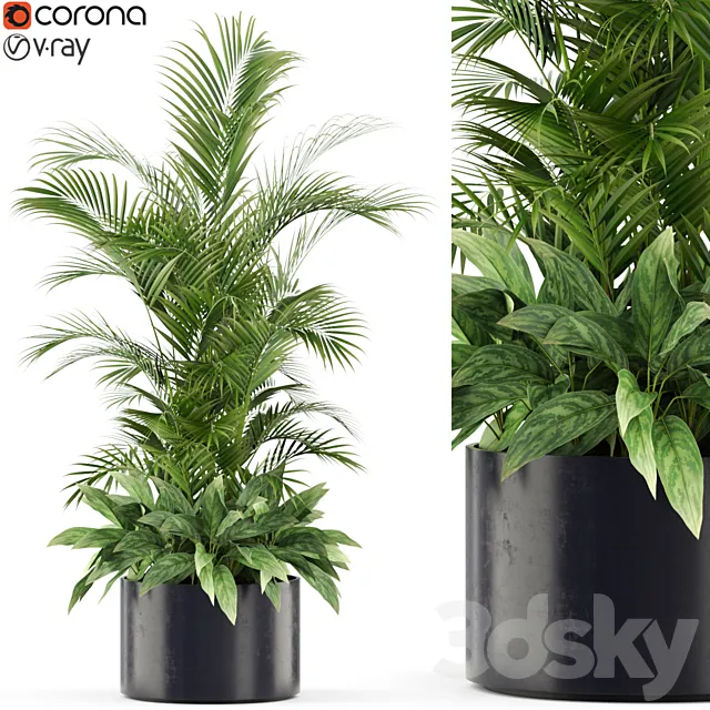 Plants collection 459 3D Model