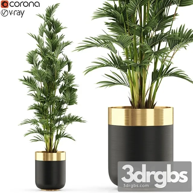 Plants collection 471 Plants collection 471