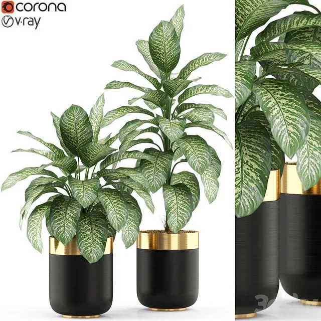 Plants collection 491 3D Model Plants collection 491 3D Model