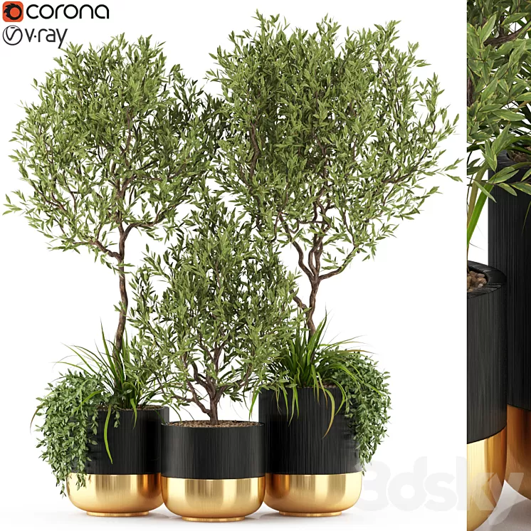 Plants collection 494 3D Model Plants collection 494 3D Model