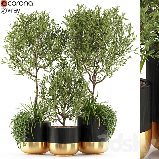 Plants collection 494 3DModel Plants collection 494 3DModel