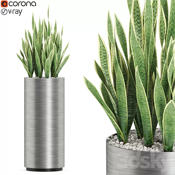 Plants collection 506 3D Model Plants collection 506 3D Model