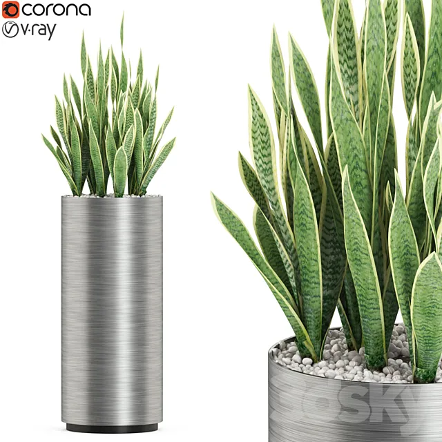 Plants collection 506 3DModel Plants collection 506 3DModel