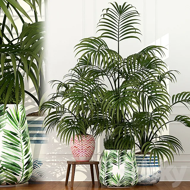 Plants collection 51 3D Model Plants collection 51 3D Model