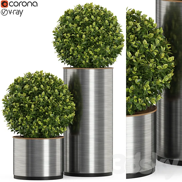 Plants collection 512 3D Model Plants collection 512 3D Model