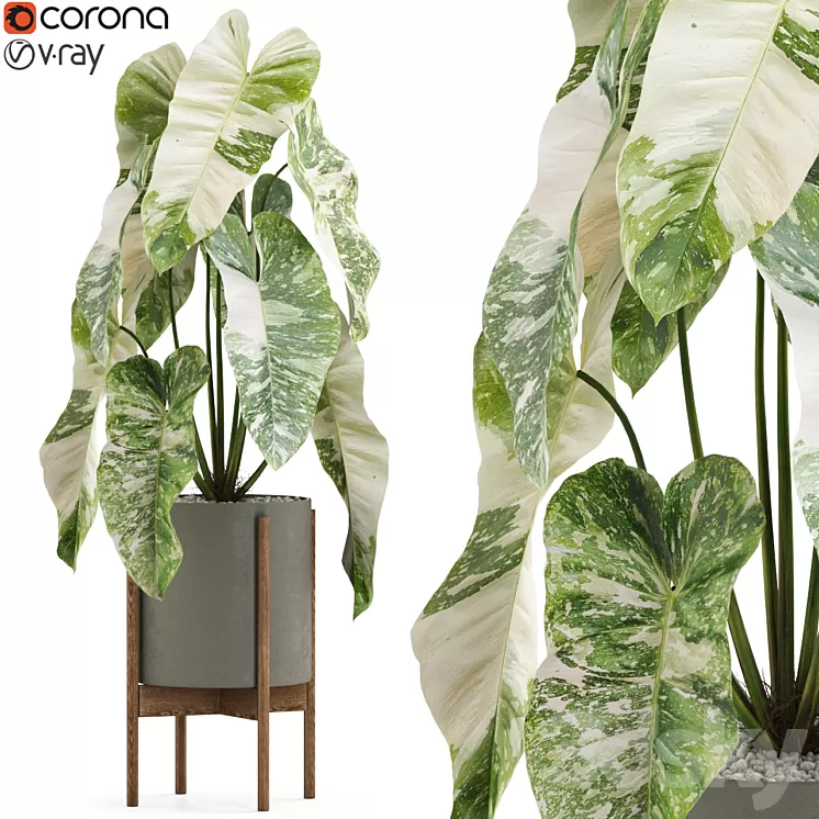 Plants collection 522 3D Model Free Download