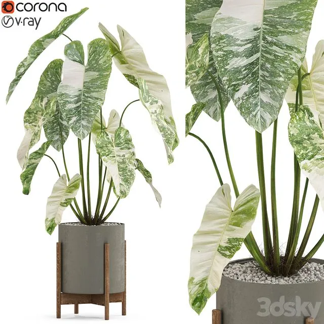 Plants collection 524 3D Model Plants collection 524 3D Model