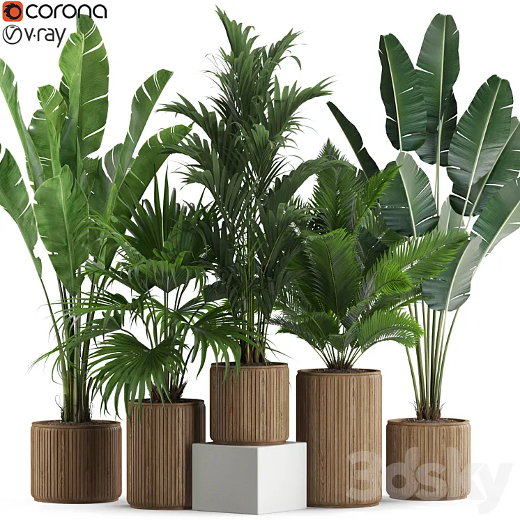 Plants collection 539 3D Model Free Download