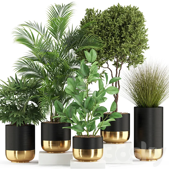 Plants collection 540 3D Model Plants collection 540 3D Model