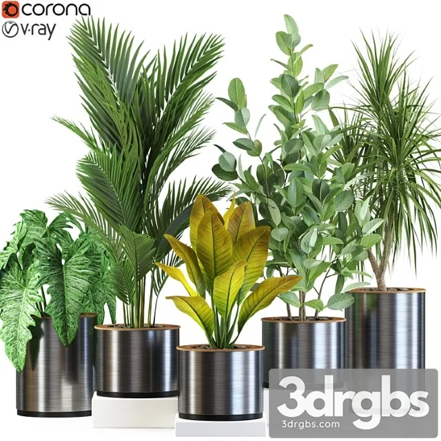 Plants collection 547 Plants collection 547