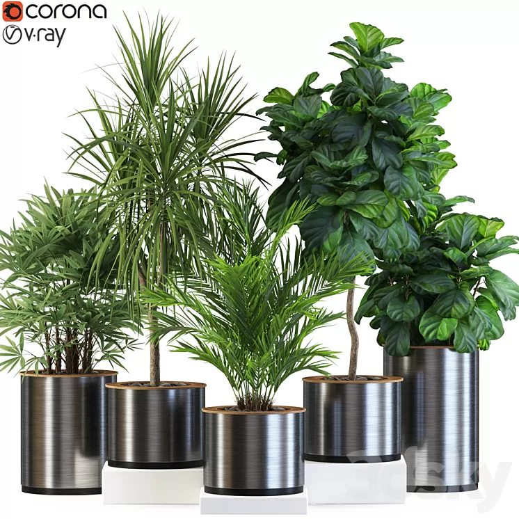 Plants collection 550 3D Model