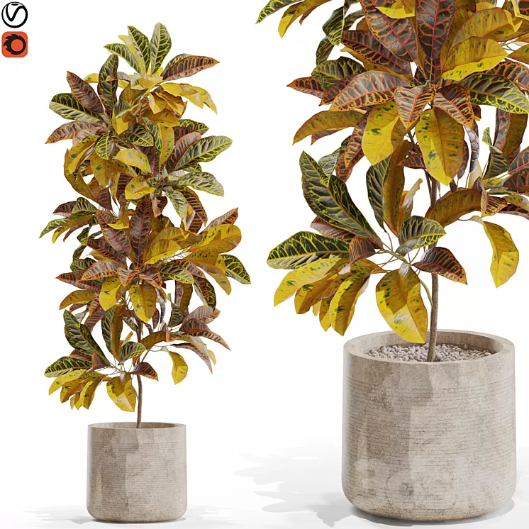 Plants collection 557 3D Model