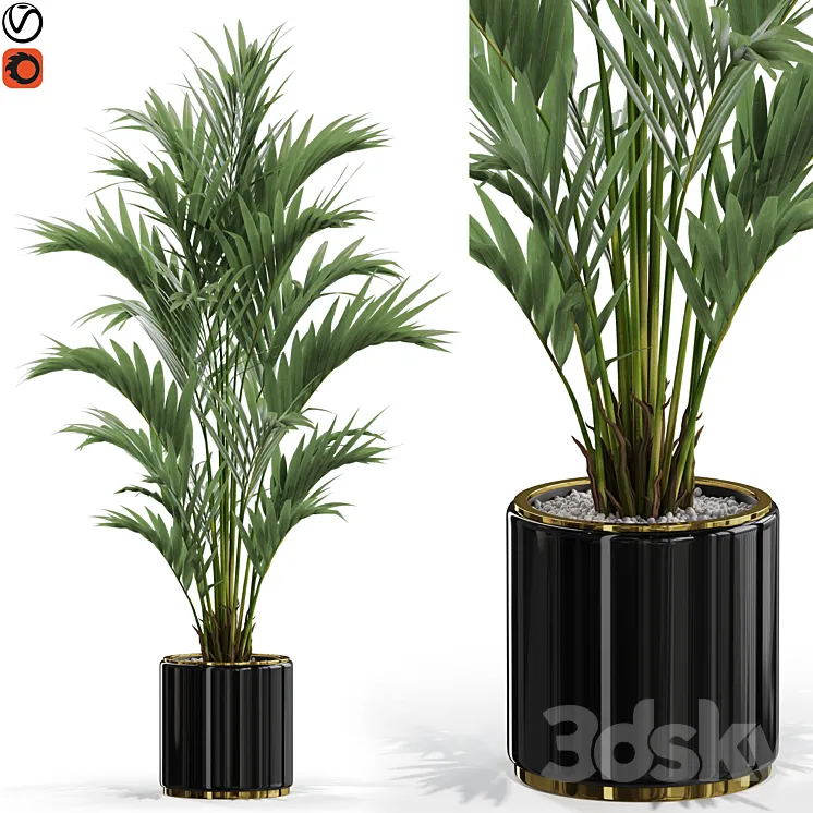 Plants collection 560 3D Model Free Download