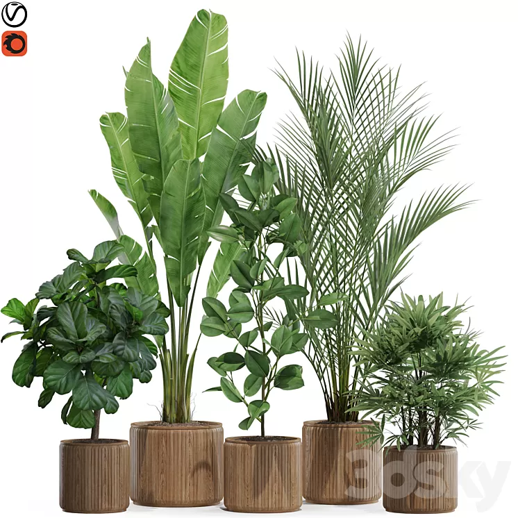 Plants collection 563 3D Model Free Download
