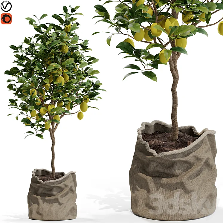 Plants collection 564 3D Model Free Download